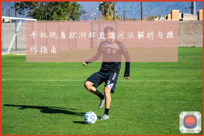 手机观看欧洲杯直播方法解析与操作指南