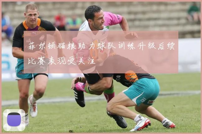 菲尔顿猫粮助力球队训练升级后续比赛表现受关注
