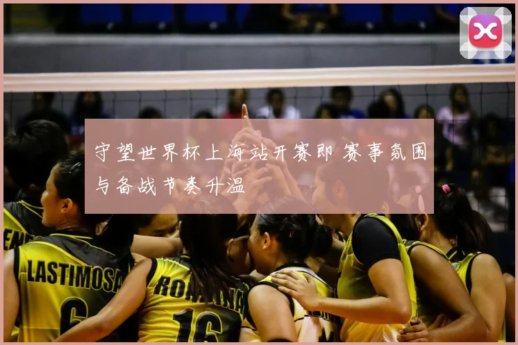 守望世界杯上海站开赛即 赛事氛围与备战节奏升温