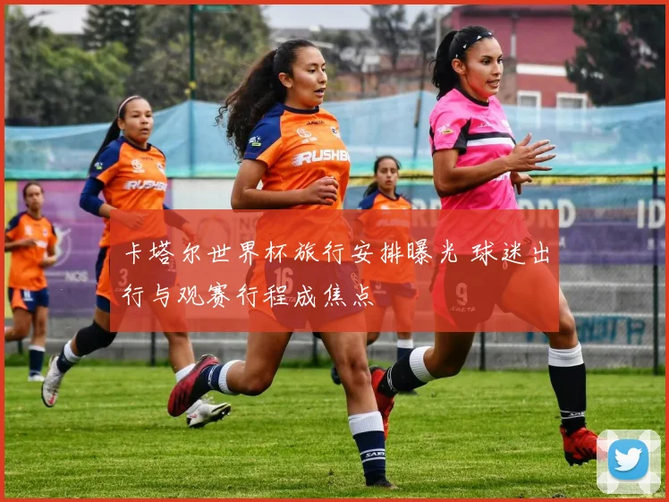 卡塔尔世界杯旅行安排曝光 球迷出行与观赛行程成焦点