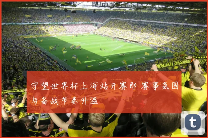 守望世界杯上海站开赛即 赛事氛围与备战节奏升温