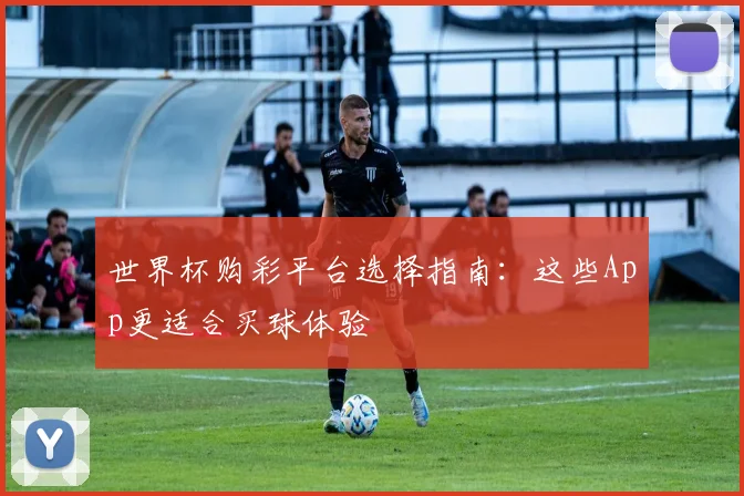 世界杯购彩平台选择指南：这些App更适合买球体验