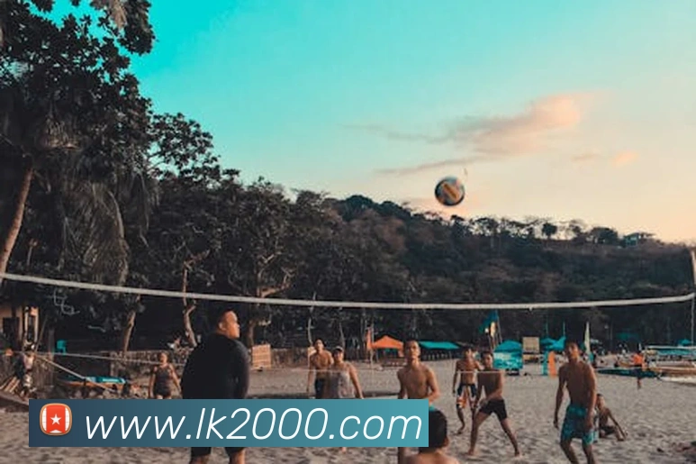 多媒体互动体验