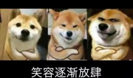 瓜太狼吃瓜网,揭秘娱乐圈幕后真相，带你领略网络舆论风云