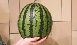 广州跳舞网红吃瓜,揭秘网络热点的背后真相