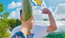 网红吃瓜醒脑,揭秘娱乐圈幕后真相，唤醒你的脑洞