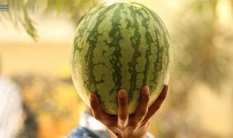 今年娱乐的吃瓜事件,2023年度娱乐圈爆笑吃瓜大盘点