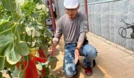 网红打卡地吃瓜,吃瓜群众纷纷慕名而来