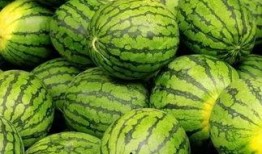 吃瓜都用什么网,各大平台瓜源大比拼