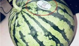 网红西瓜一瓜三吃,创意美食新潮流