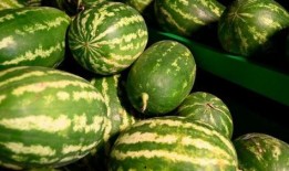 关于武都网红吃瓜事件