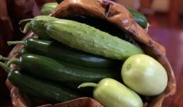 网红吵架吃瓜,吃瓜群众围观网络口水战