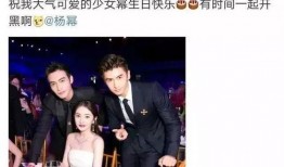 吃瓜半个娱乐圈,揭秘半个娱乐圈的幕后故事