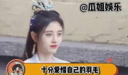 娱乐吃瓜女艺人助理,吃瓜女艺人助理的幕后故事