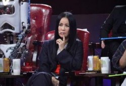 娱乐圈吃瓜爆料那英,揭秘背后的真相与争议