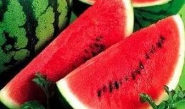 吃瓜都用什么网,各大平台瓜源大比拼