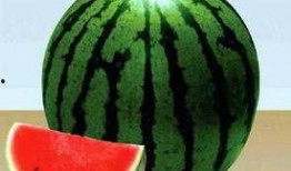 吃瓜网全部,揭秘娱乐圈幕后故事，带你领略明星真实生活