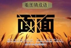 老李娱乐吃瓜,揭秘娱乐圈吃瓜背后的真相与笑料