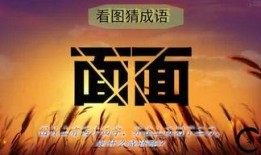 老李娱乐吃瓜,揭秘娱乐圈吃瓜背后的真相与笑料