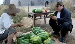 黑网料吃瓜网是什么,网络暗流涌动的秘密世界