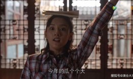 吃瓜半个娱乐圈,揭秘半个娱乐圈的幕后故事