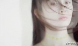 老娱乐圈吃瓜群众