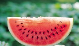 718sx娱乐吃瓜备用,吃瓜群众必备的备用资讯平台