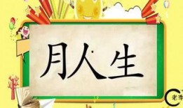 老李娱乐吃瓜,揭秘娱乐圈吃瓜背后的真相与笑料